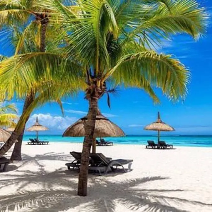 Home In Punta Cana